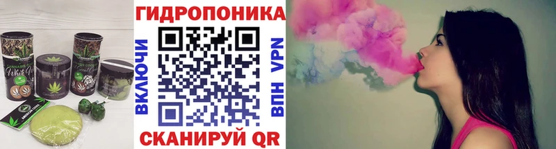 Cannafood марихуана  магазин продажи наркотиков  Ставрополь 