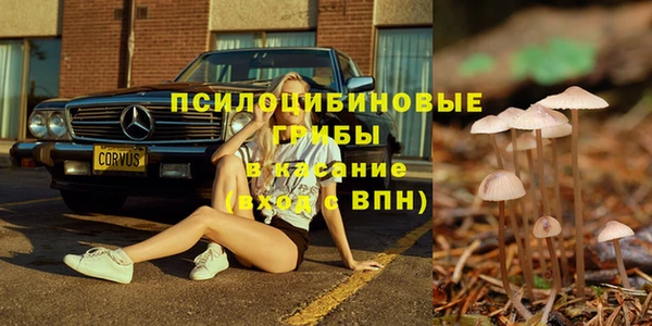 ГАЛЛЮЦИНОГЕННЫЕ ГРИБЫ Бронницы