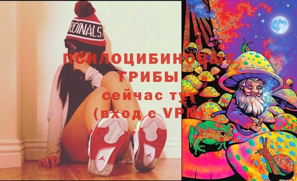 ГАЛЛЮЦИНОГЕННЫЕ ГРИБЫ Бронницы